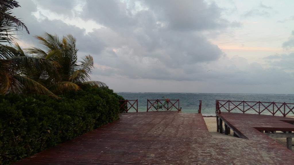 بويرتو موريلوس Balanca Studios المظهر الخارجي الصورة