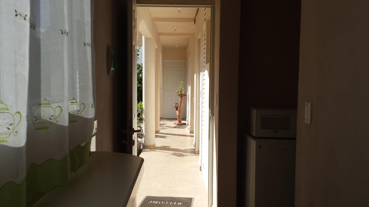 بويرتو موريلوس Balanca Studios المظهر الخارجي الصورة